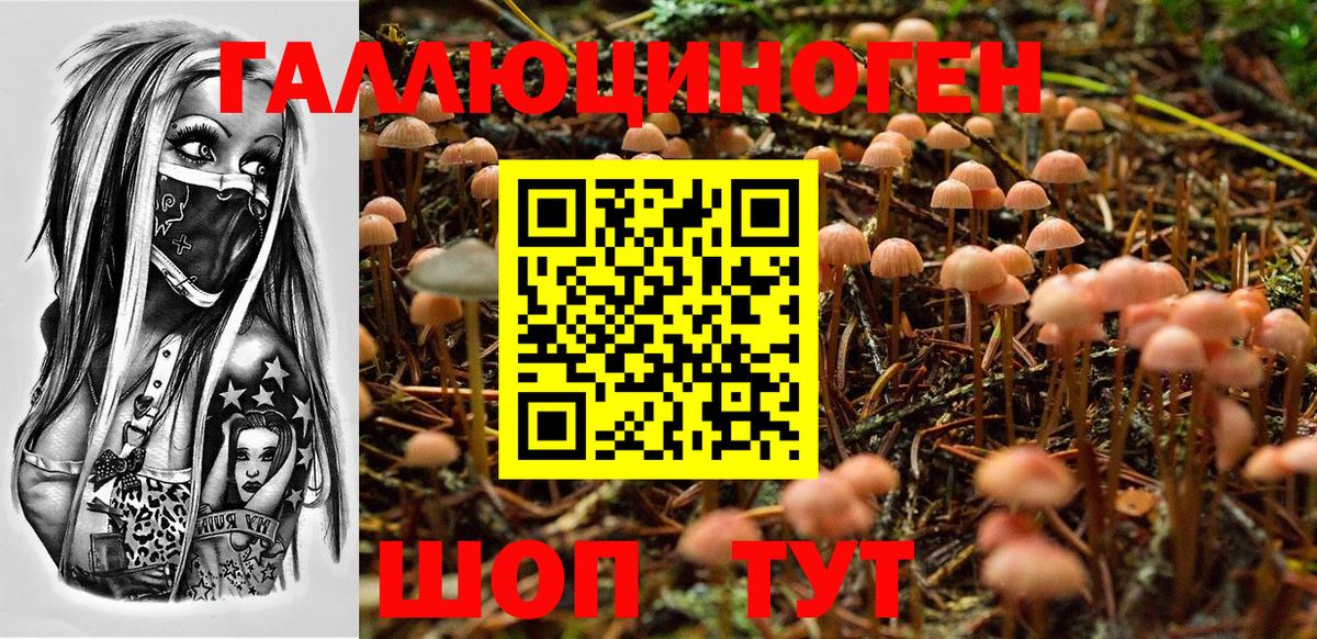 Галлюциногенные грибы MAGIC MUSHROOMS  Вход с VPN  Шали 